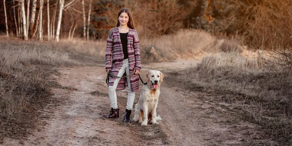 teen dog walker